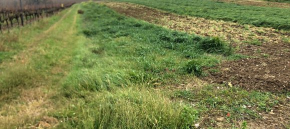 44000m² Land in Rimini, Italy No. 167515 2