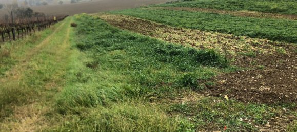 44000m² Land in Rimini, Italy No. 167515 4