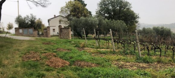 44000m² Land in Rimini, Italy No. 167515 10