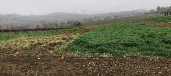 44000m² Land in Rimini, Italy No. 167515 14