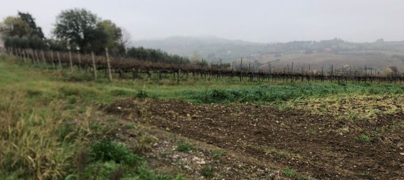 44000m² Land in Rimini, Italy No. 167515 15