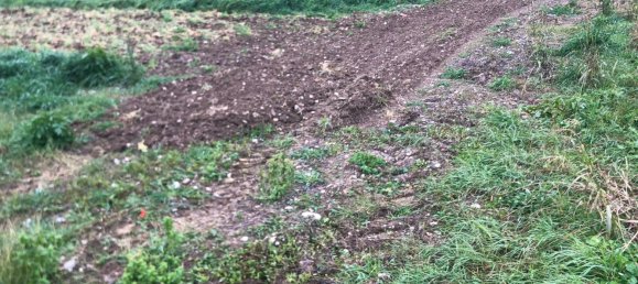 44000m² Land in Rimini, Italy No. 167515 3