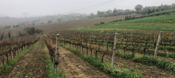 44000m² Land in Rimini, Italy No. 167515 12