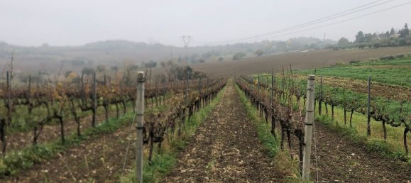 44000m² Land in Rimini, Italy No. 167515 11