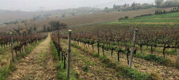 44000m² Land in Rimini, Italy No. 167515 7