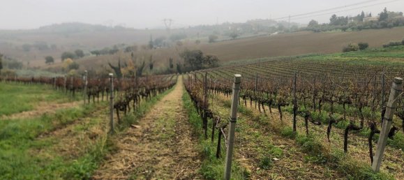 44000m² Land in Rimini, Italy No. 167515 9