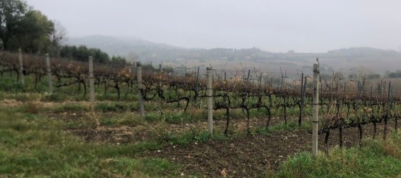 44000m² Land in Rimini, Italy No. 167515 5