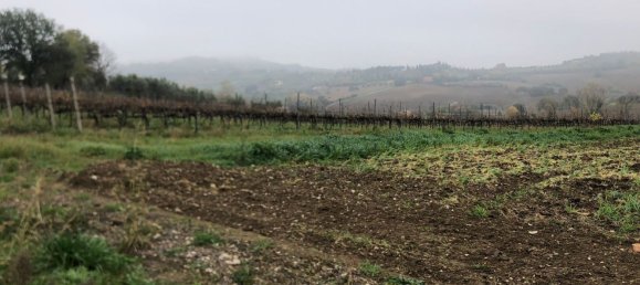 44000m² Land in Rimini, Italy No. 167515 13