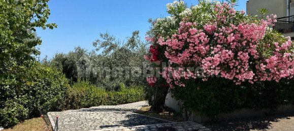 2 bedrooms Apartment in Vasto, Italy No. 308257 14