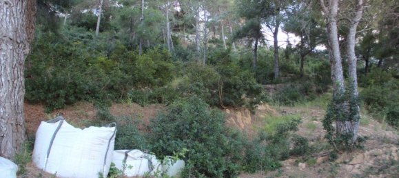  Land in Alicante, Spain No. 136137 8