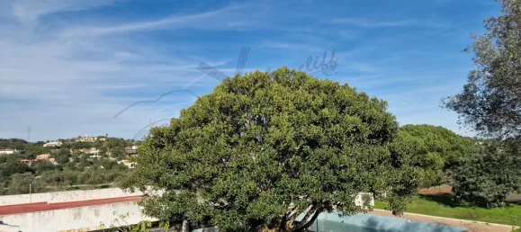 Terreno en Sao Bras de Alportel, Portugal No. 51108 9