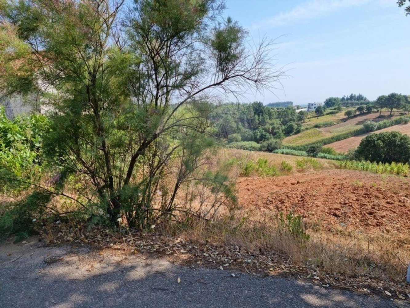 Grundstück in Bombarral, Portugal, Nr. 219567