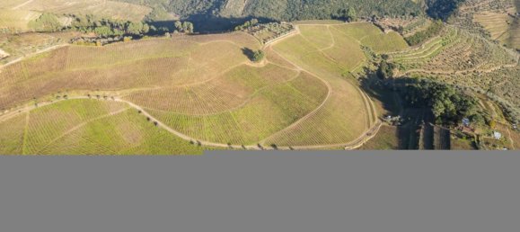 8 bedrooms House in Cumieira, Portugal No. 126248 4