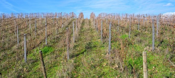 8 bedrooms House in Cumieira, Portugal No. 126248 23