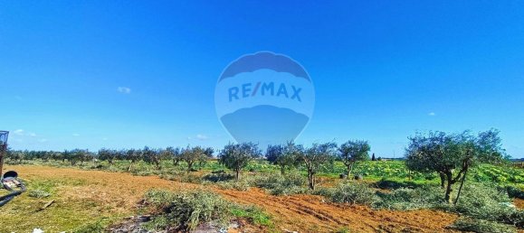 Villa de 3 habitaciónes en Brindisi, Italy No. 282461 18