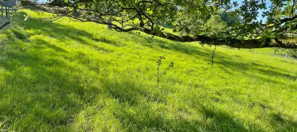 Grundstück in Oberbergischer, Germany, Nr. 138301 2