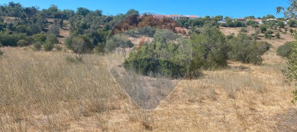 Grundstück in Sao Bartolomeu de Messines, Portugal 9360m², Nr. 39286 2