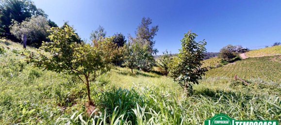 1 bedroom House in Strevi, Italy No. 168827 4