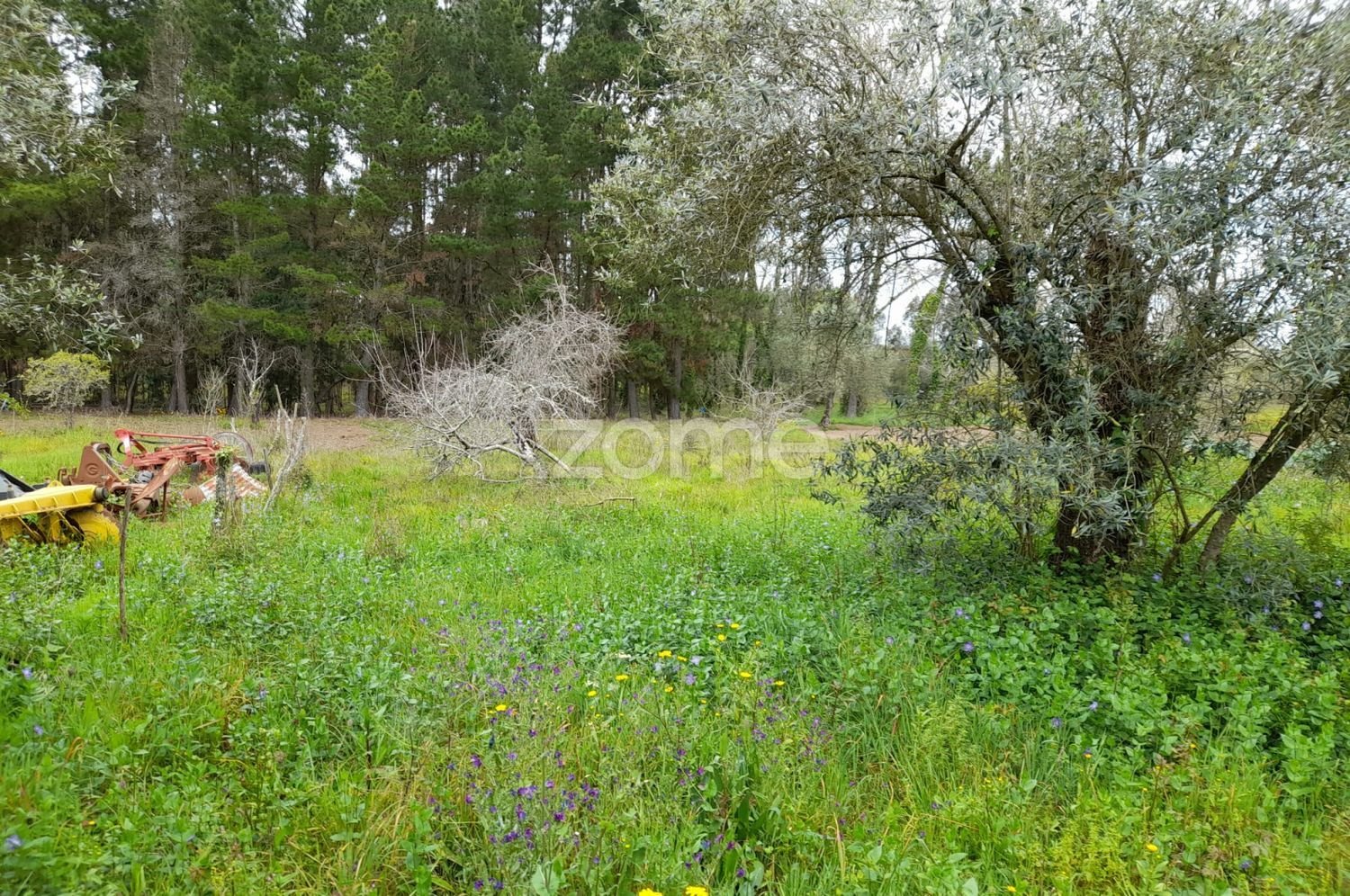 Grundstück in Avelas de Cima, Portugal 1200m², Nr. 78618