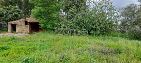 Grundstück in Avelas de Cima, Portugal 1200m², Nr. 78618 13