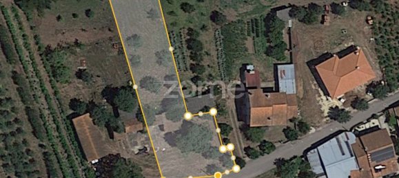 Grundstück in Avelas de Cima, Portugal 1200m², Nr. 78618 2