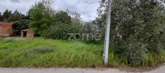 Grundstück in Avelas de Cima, Portugal 1200m², Nr. 78618 4