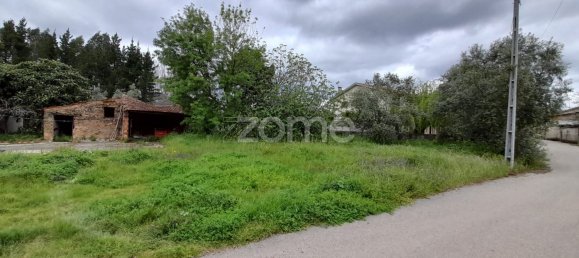 Grundstück in Avelas de Cima, Portugal 1200m², Nr. 78618 8