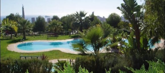 2 bedrooms Apartment in Benidorm, Spain No. 12179 5