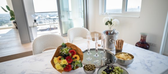 4 rooms Penthouse in Vienna, Austria No. 224821 20