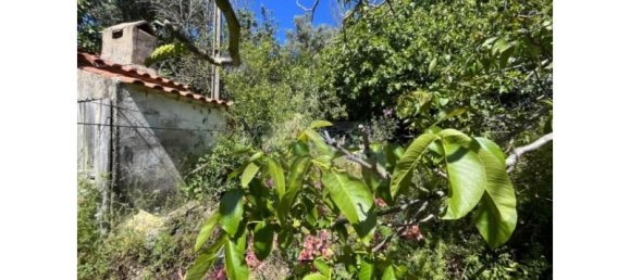 Casa T1 em Torres Vedras, Portugal N.º 59794 5