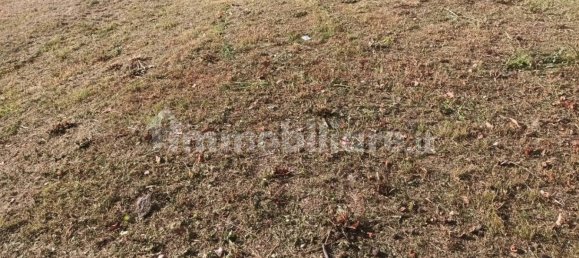 1 bedroom Apartment in Mondovì, Italy No. 290328 17