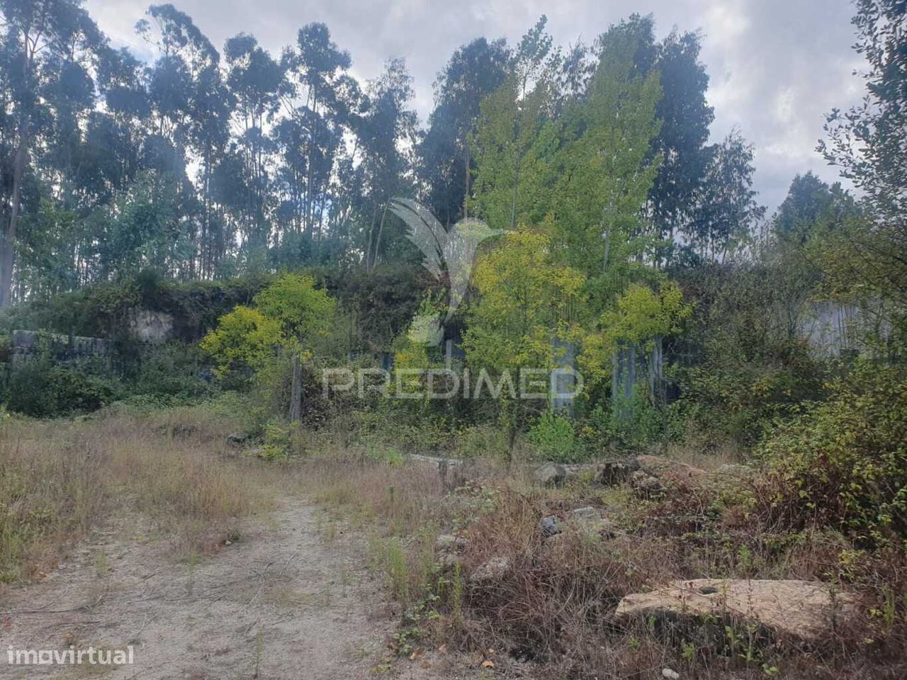 22000m² Land in Fafe, Portugal No. 51266