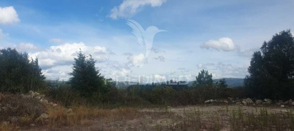 22000m² Land in Fafe, Portugal No. 51266 8