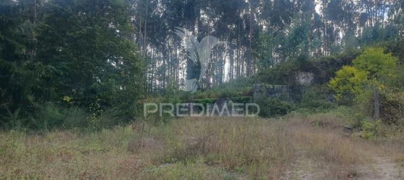 22000m² Land in Fafe, Portugal No. 51266 2