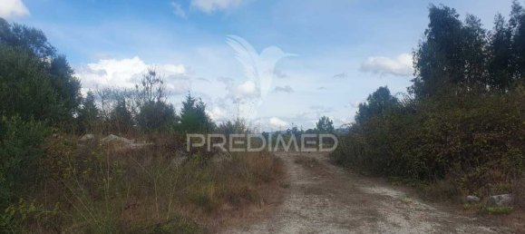 22000m² Land in Fafe, Portugal No. 51266 4