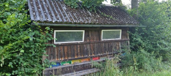 6 rooms House in Ulrichsberg, Austria No. 204018 18