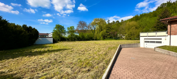 1210m² Warehouse in Enzkreis, Germany No. 226484 4