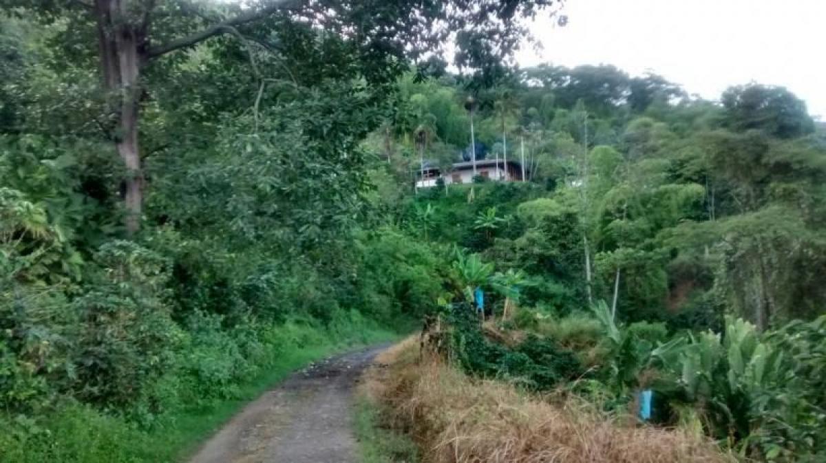 3 chambres Maison à Quindio, Colombia No. 3769