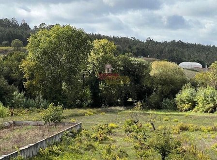 2100m² Land in Leiria, Portugal No. 178785