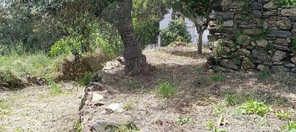 1 bedroom House in Sardoal, Portugal No. 182648 4