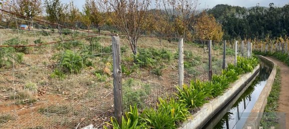 Terreno em Calheta, Portugal N.º 109564 14