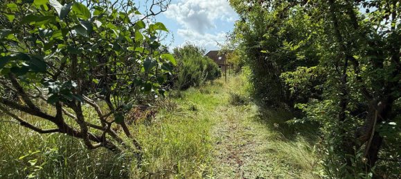 Adosado de 4 habitaciónes en Rendsburg-Eckernforde, Germany No. 312852 13