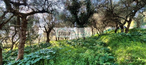 1000m² Land in Massarosa, Italy No. 174430 3