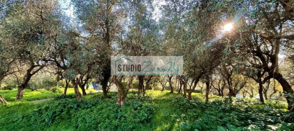 1000m² Land in Massarosa, Italy No. 174430 2
