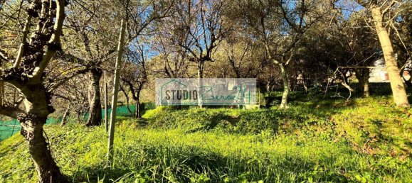 1000m² Land in Massarosa, Italy No. 174430 8