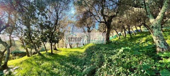 1000m² Land in Massarosa, Italy No. 174430 10