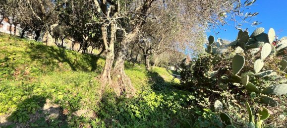 1000m² Land in Massarosa, Italy No. 174430 7