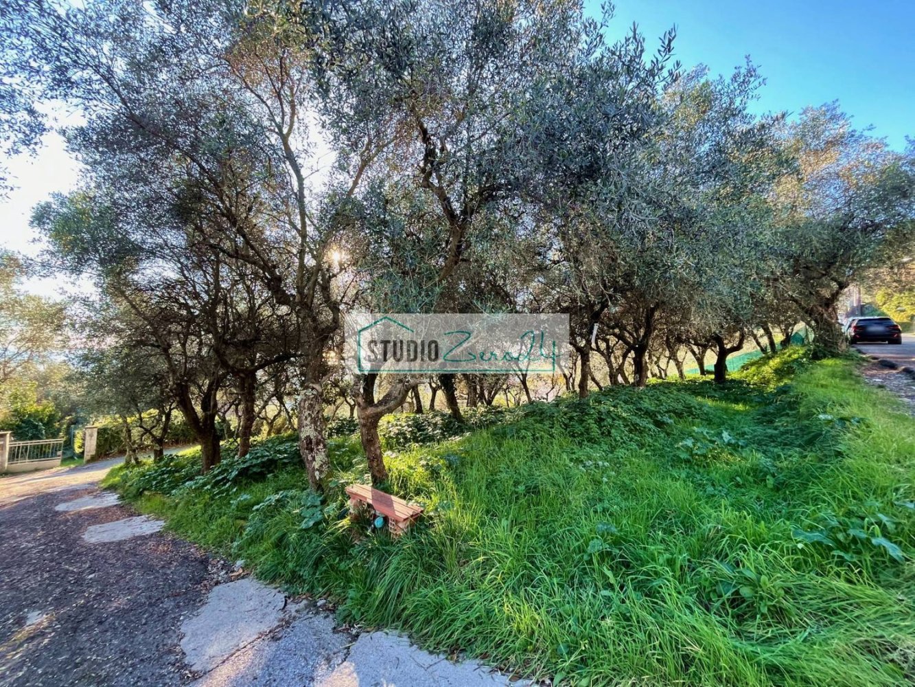 1000m² Land in Massarosa, Italy No. 174430