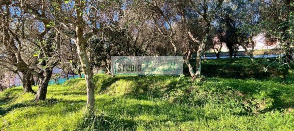 1000m² Land in Massarosa, Italy No. 174430 4