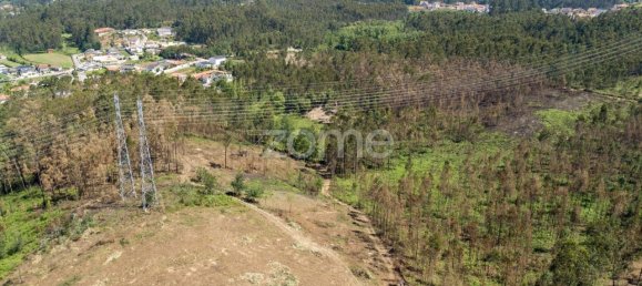 Grundstück in Santa Maria da Feira, Portugal 3439m², Nr. 35103 19